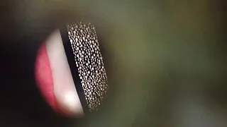 Thong дахь тахиа.