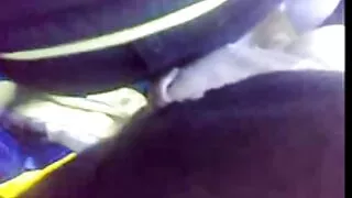 Pannochka fucked гэхэд Homo ХОМ