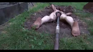 Энэ нь дэн буудалд нь хос.