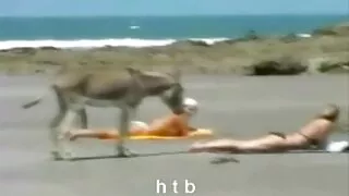 Найзтайгаа секс дуучин.