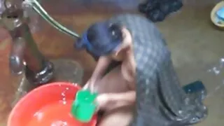 Хойд Эцэг Quinton Quin