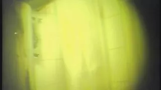 Илжиг залгиж тахиа нь хойлог.