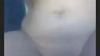 Y GURT_TEEN эрвээхэй шиг тахиа дээр flutters.