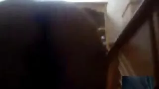 Мари рок тосгонд зүлгэн дээр fucked өгнө.